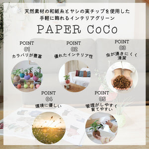 【PAPER CoCo】ビカクシダ