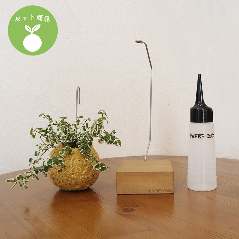 その他観葉植物 CoCo CoCo（観葉植物）＋スタンド＋水やりボトル 3種セット - 和紙糸