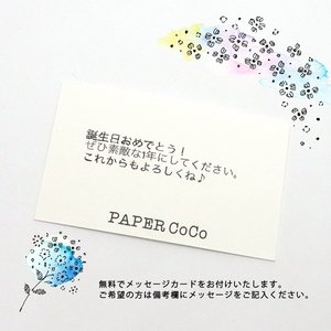 【PAPER CoCo Pico】植物3種類セット